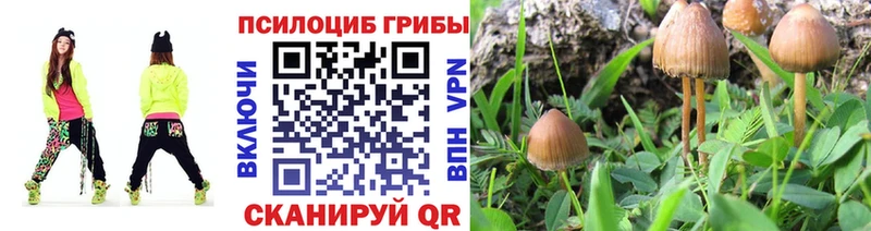 Галлюциногенные грибы Cubensis  даркнет сайт  Дятьково 